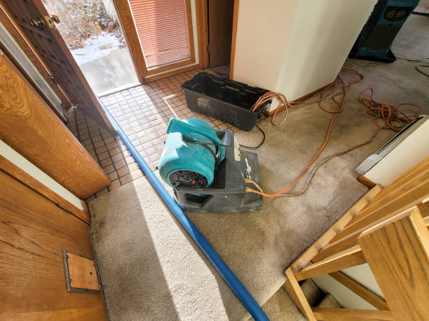 Best Local water damage restoration  in South Bloomfield, OH