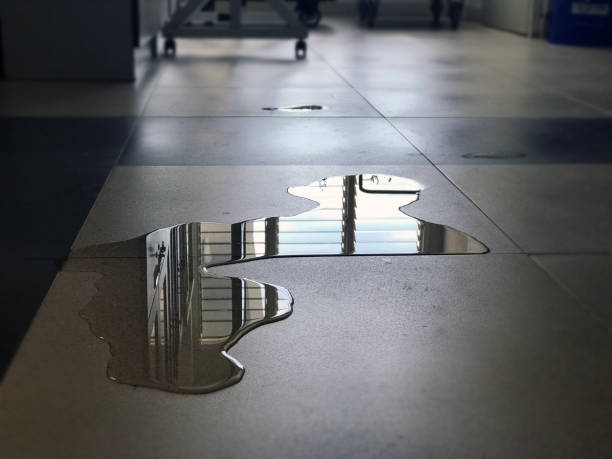 Best Water damage contractors near me  in South Bloomfield, OH