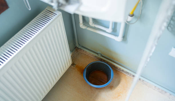  South Bloomfield, OH Water damage restoration Pros