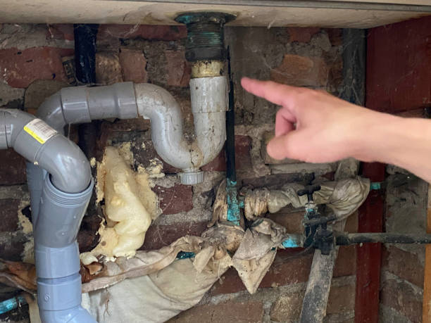Best Water damage restoration specialists  in South Bloomfield, OH