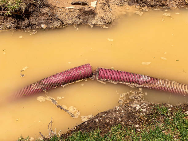 Best Basement water damage restoration  in South Bloomfield, OH